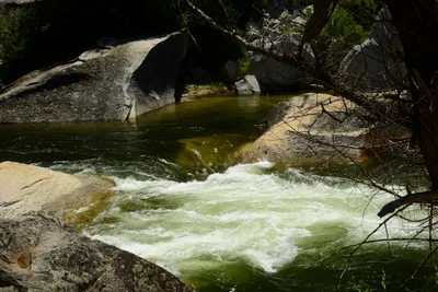 DSC_2252 (Large).JPG